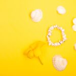 Reddybook Review: How This Digital Platform is Transforming Learning & Gaming with 11xplay Integration