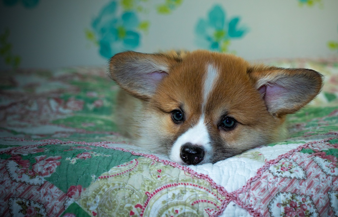 99exch Review: India’s Leading Crypto Exchange Platform